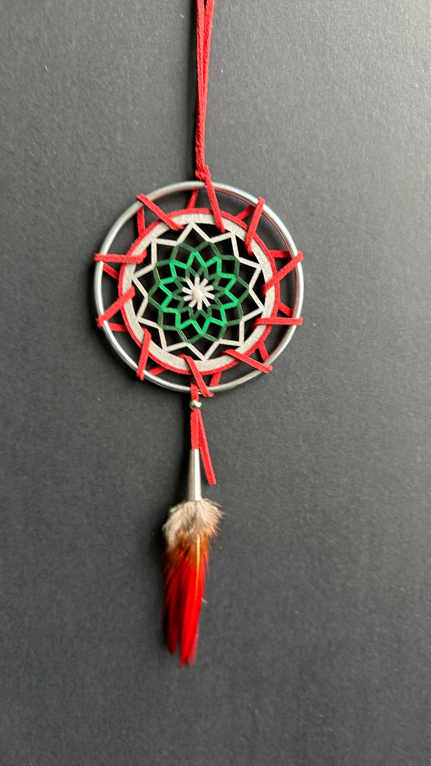 Hand painted Wooden Dreamcatcher w/ Mother-of-Pearl, Pheasant Feather (M)